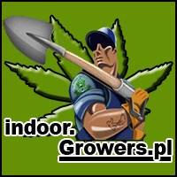 blog growers o uprawie i hodowli marihuany w indoor
