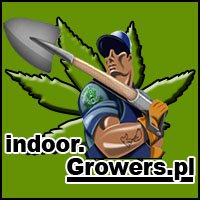 Uprawa Indoor – Indoor.Growers.pl